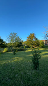 lotes santa monica 1