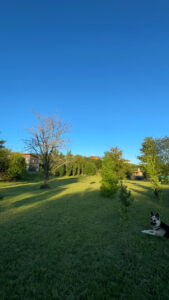 lotes santa monica 2