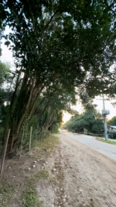 LOTE VILLA CIUDAD PARQUE